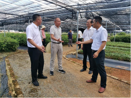 1719109762272821.png image.png